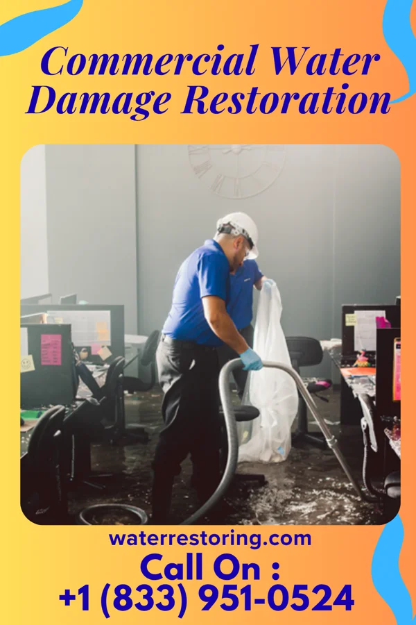 Commercial Water Damage Restoration in Lyons, GA